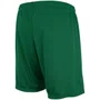 Calção Betel Palmeiras 1914 II Masculino 9925048-04