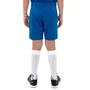 Calção Juvenil Umbro Legacy U17TW00436-333