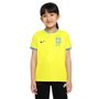 Camisa Infantil Nike Brasil I 22/23 Torcedor Pro DN1204-740