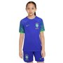 Camisa Nike Brasil II 22/23 Torcedor Pro Infantil DN1203-433