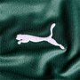 Camisa Palmeiras Puma I 22/23 Torcedor Masculina 768978-01