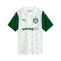 Camiseta Puma Palmeiras Torcedor II 25 Masculina 782428-01