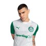 Camiseta Puma Palmeiras Torcedor II 25 Masculina 782428-01