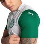 Camiseta Puma Palmeiras Torcedor II 25 Masculina 782428-01
