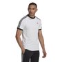 Camiseta Adidas 3 Stripes Trefoil Masculina HK7420
