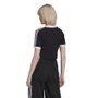 Camiseta Adidas Cropped Adicolor Classics Feminina HC2040