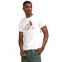 Camiseta Adidas Grafica Foil Masculino HR5758