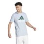 Camiseta Adidas M/C Big Logo Masculina IJ8576