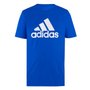 Camiseta Adidas M/C Big Logo Masculina IV7458