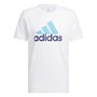 Camiseta Adidas M/C Big Logo Masculina IV7459