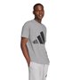 Camiseta Adidas M/C Big Logo Masculina JE8948