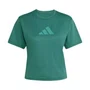 Camiseta Adidas M/C Essentials Feminina JX1270