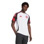 Camiseta Adidas M/C Flamengo II 25 Masculina IV6042