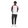 Camiseta Adidas M/C Flamengo II 25 Masculina IV6042