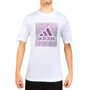 Camiseta Adidas M/C Grafica Colorshift Masculina GS6279