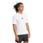 Camiseta Adidas M/C Small Logo Masculina JF1092