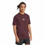 Camiseta Adidas M/C Small Logo Masculina JF1098