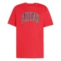 Camiseta Adidas M/C Stadium Colleg Masculina KB4927