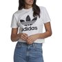 Camiseta Adidas Originals Trefoil Classic Feminina GN2899