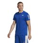 Camiseta Adidas Own The Run Masculina HL5984