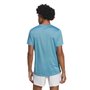 Camiseta Adidas Own The Run Masculina IC7625