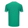 Camiseta Betel M/C Palmeiras Família Masculino 9926088-04