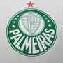 Camiseta Betel M/C Palmeiras Line Masculina 9925165-1161