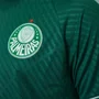 Camiseta Betel M/C Palmeiras Storm Masculina 9925166-04