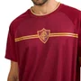Camiseta Braziline M/C Fluminense Tranca Masc 00300733904