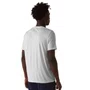 Camiseta Fila Basic Sports II Masculina F11AT00721-1671