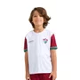 Camiseta Infantil Braziline M/C Fluminense Mistura 00300727801