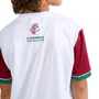 Camiseta Infantil Braziline M/C Fluminense Mistura 00300727801