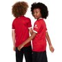 Camiseta Infantil Liverpool I 23/24 Torcedor DX2766-688