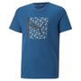 Camiseta Infantil Puma Active Sports Menino 670071-17