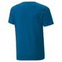 Camiseta Infantil Puma Essentials 2 Logo 586985-17