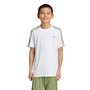 Camiseta Juvenil Adidas 3 Stripes IW5903
