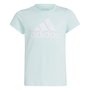 Camiseta Juvenil Adidas Big Logo IZ3468