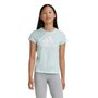 Camiseta Juvenil Adidas Big Logo IZ3468