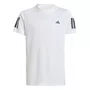 Camiseta Juvenil  Adidas M/C 3 Listras  JI9249