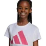 Camiseta Juvenil Adidas M/C Big Logo Feminina JW2383