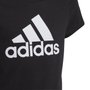 Camiseta Juvenil Adidas M/C Big Logo IC6120