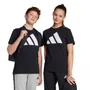 Camiseta Juvenil Adidas M/C Big Logo Junior JC9660