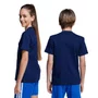 Camiseta Juvenil Adidas M/C Big Logo JY0296