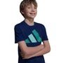 Camiseta Juvenil Adidas M/C Big Logo JY0296