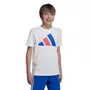Camiseta Juvenil Adidas M/C Big Logo JY0298