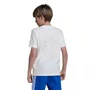 Camiseta Juvenil Adidas M/C Big Logo JY0298