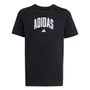 Camiseta Juvenil Adidas M/C Collegiate JV5192