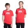 Camiseta Juvenil Adidas M/C Collegiate JV5194
