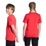 Camiseta Juvenil Adidas M/C Collegiate JV5194