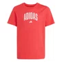 Camiseta Juvenil Adidas M/C Collegiate JV5194